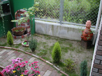 ց@Av[`̐H@P̎ʐ^